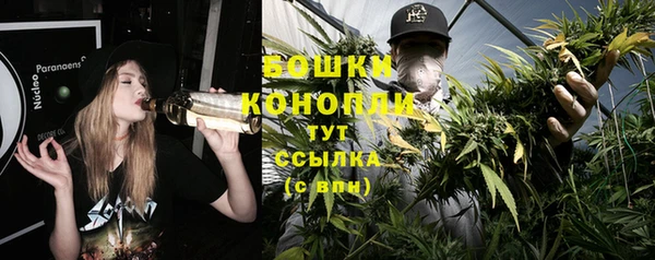 эйфоретик Дмитриев