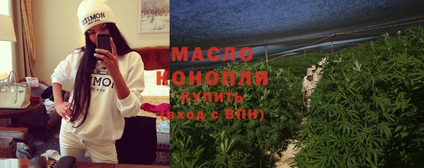 эйфоретик Дмитриев