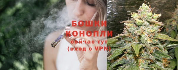 СК Дмитров